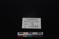 梅花鹿骨藏品圖，第3張