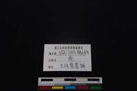 梅花鹿骨藏品圖，第3張