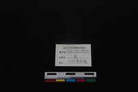 梅花鹿骨藏品圖，第3張