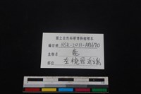 梅花鹿骨藏品圖，第3張