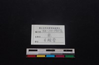 梅花鹿骨藏品圖，第3張