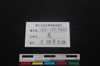 梅花鹿骨藏品圖，第3張