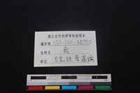梅花鹿骨藏品圖，第3張