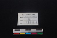 梅花鹿骨藏品圖，第3張