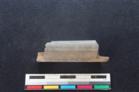 梅花鹿骨藏品圖，第1張