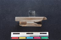 梅花鹿骨藏品圖，第2張