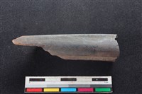 梅花鹿骨藏品圖，第1張