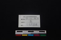 梅花鹿骨藏品圖，第5張