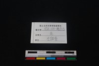 梅花鹿骨藏品圖，第3張