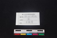 梅花鹿骨藏品圖，第3張