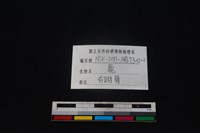 梅花鹿骨藏品圖，第5張