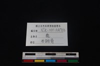 梅花鹿骨藏品圖，第3張