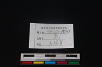 梅花鹿骨藏品圖，第3張