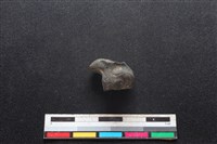 梅花鹿骨藏品圖，第1張