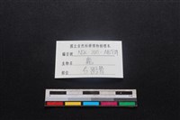 梅花鹿骨藏品圖，第5張