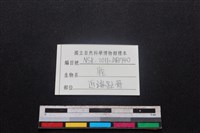 梅花鹿骨藏品圖，第3張