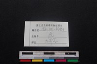 梅花鹿骨藏品圖，第3張