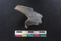 梅花鹿骨藏品圖，第1張