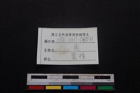 梅花鹿骨藏品圖，第3張