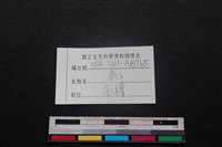 梅花鹿骨藏品圖，第3張