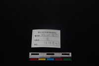 梅花鹿骨藏品圖，第3張