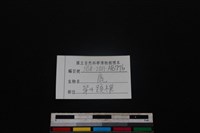 梅花鹿骨藏品圖，第3張