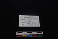 梅花鹿骨藏品圖，第3張