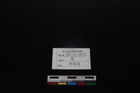 梅花鹿骨藏品圖，第4張