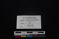 梅花鹿骨藏品圖，第3張