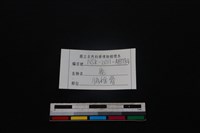 梅花鹿骨藏品圖，第3張
