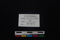 梅花鹿骨藏品圖，第3張
