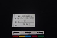 梅花鹿骨藏品圖，第4張
