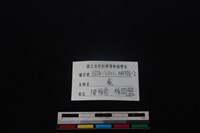 梅花鹿骨藏品圖，第3張