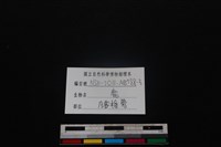 梅花鹿骨藏品圖，第3張