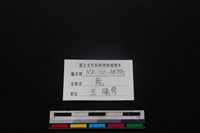 梅花鹿骨藏品圖，第3張