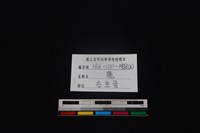 梅花鹿骨藏品圖，第3張