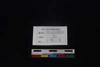 梅花鹿骨藏品圖，第3張