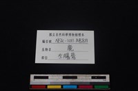 梅花鹿骨藏品圖，第3張