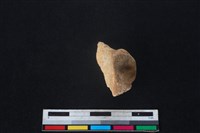 梅花鹿骨藏品圖，第2張