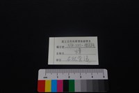 獐骨藏品圖，第5張