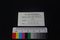 獐骨藏品圖，第3張