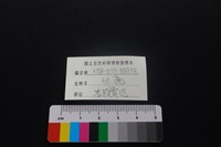 獐骨藏品圖，第3張