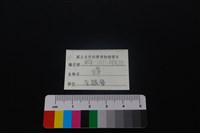 獐骨藏品圖，第4張