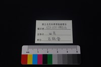 山羌骨藏品圖，第4張