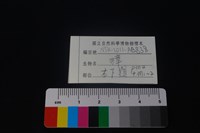 獐骨藏品圖，第4張