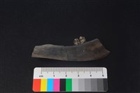 獐骨藏品圖，第2張