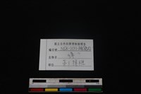 獐骨藏品圖，第4張