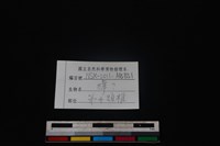 獐骨藏品圖，第4張