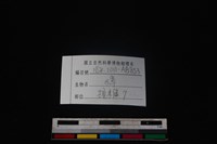 獐骨藏品圖，第4張