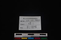 獐骨藏品圖，第3張